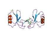 1u4m​: Ljudski -{RANTES}- u kompleksu sa heparin-izvedenim disaharidom -{III-S}-