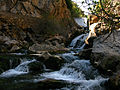 Parc naturel de la Sierra de Cazorla: cours supérieur du Guadalquivir à travers la Cerrada del Utrero.