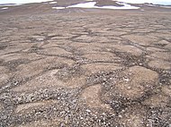 ... with patterned ground on Devon Island in the Canadian Arctic, on Earth