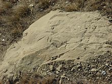 Peskapoo Sandstone.JPG