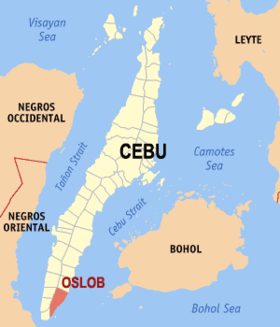 Mapa a pakabirukan ti Oslob