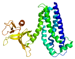 Протеин TRIO PDB 1nty.png