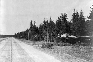 Ju 88 heavy fighters hidden beside a Reichsautobahn, early 1945. Strafing attacks by Allied aircraft were a constant danger. RAB mit Flugzeugen.jpg