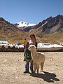 Devant le marché local, une jeune fille avec son alpaga pose pour la photo (avec le mont Chimboya en arrière-plan).