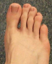 220px-RightFootToes.jpg