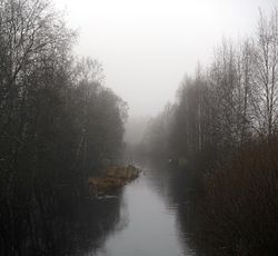 река в ноябре 2012 года