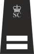 Special Inspector