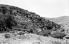 The hill (jabal) across from Sataf. September 1, 1945.