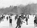 Файл: Катание на коньках в Центральном парке Фрэнк-С.-Армитаж-American-Mutoscope-And-Biograph-1900.ogv