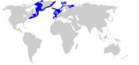 Distribución do tiburón de Groenlandia