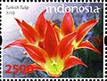 ID087.08, 24 October 2008, Joint Issue - Indonesia - Turkey - Turkish Tulip