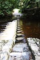 Stepping stones, Tollymore, September 2010 (01).JPG