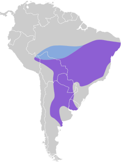 Distribución geográfica del mosquero matorralero sureño.