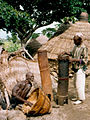 Tambores nggu sobre troncos de árboles, de la etnia Sukur, en Nigeria.