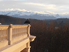 La terrasse du Pavillon des Arts et le Pic du Midi d'Ossau