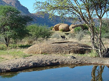 Подножья столовых гор Намибии, март, 2012
