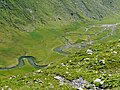 Vorderes Moos unterhalb der Hütte