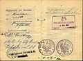 Validação consular polonesa de um passaporte em 1918