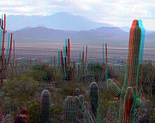 Anaglyph of Saguaro National Park at dusk 3D red cyan glasses are recommended to view this image correctly. 3D dusk on Desert.jpg