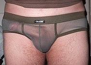 A male wearing fishnet underpants (cropped).jpg