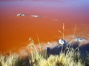 Aguas de la Laguna Colorada Potosí Bolivia