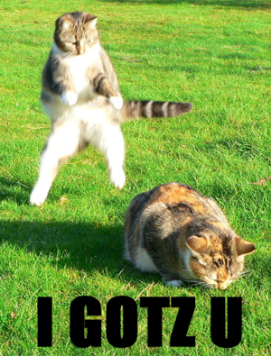 I haz April Foolz lolcats. Intended for use on...