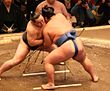 Đô vật sumo