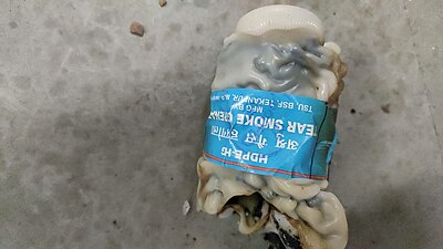 Remains of tear gas shield in the reading hall, central library, JMI