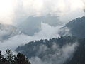 Cloud can be seen from track between Donga Gali and Ayubia known as Ayubia National Park track.
