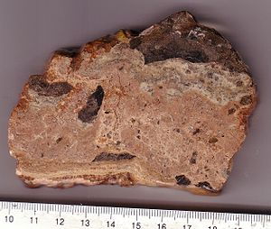 Highly shocked polymictic breccia from the Azu...