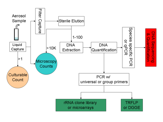 Пътища към PCR-базиран биоаерозолен анализ.