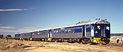 The three types of Bluebird railcars in May 1987 on a charter trip at Telford, South Australia: 250 class power car 256 Kookaburra, 100 class trailer cars 101 Grebe and 105 Snipe and 280 class powered baggage car 282