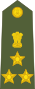 Бригадный генерал индийской армии.svg