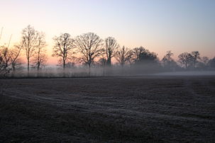 Brume matinale dans un champ en Mayenne. (définition réelle 3 072 × 2 048)