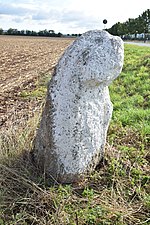 Menhir II von Sangerhausen