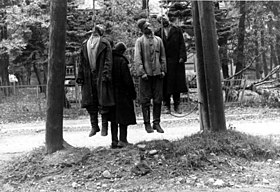 Photo noir et blanc de quatre hommes pendus à des arbres