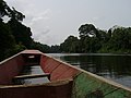 Remontée de la Lobé en pirogue