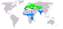 Nendrinės lingės paplitimas. Šviesiai žalia – perėjimo sritis, mėlyna – žiemojimo sritis, tamsiai žalia – gyvena ištisus metus