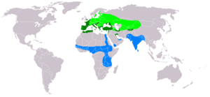 Circus aeruginosus distribution map.png