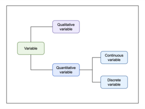 Variables can be divided into two main categories: qualitative (categorical) and quantitative (numerical). Continuous and discrete variables are subcategories of quantitative variables. Note that this schematic is not exhaustive in terms of the types of variables. Continuous and discrete variables.png
