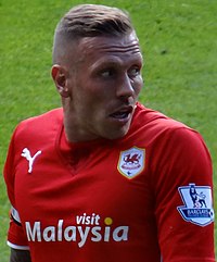 Craig Bellamy 2013.jpg