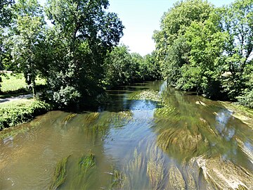 La Dronne en limite de Saint-Méard-de-Drône (à gauche) et de Celles (en rive opposée).