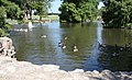 Brandt Park, "The Duck Pond"