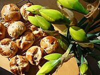 Easter hot cross buns, March 2010.jpg