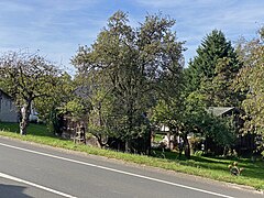 Alte Obstbäume und Holzscheunen in Ente