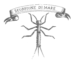 Scorpione di mare