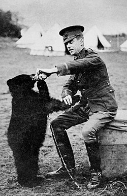 Harry Colebourne s medvědicí Winnie v roce 1914