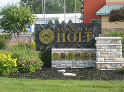 holt michigan