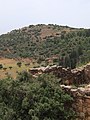 Hilltop ruin of Khirbet Abu esh-Sheba as seen from Farradiyya