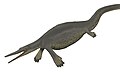 Hupehsuchus